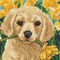 Dimensions Mini Needlepoint Kit 5"X5"-Puppy Mischief Stitched In Floss